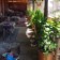 Teras Paradise Guest House